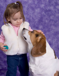 Anthem Children and Pet Safe Carpet Cleaning Picture